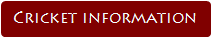 Cricket information